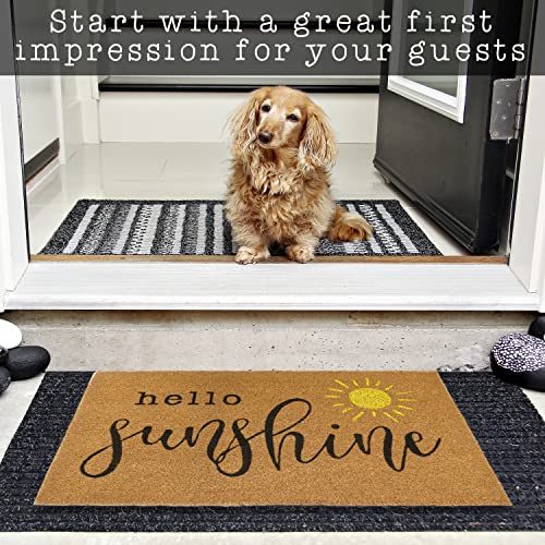 Hello Sunshine Coir Doormat Outdoor 30x17 Inch