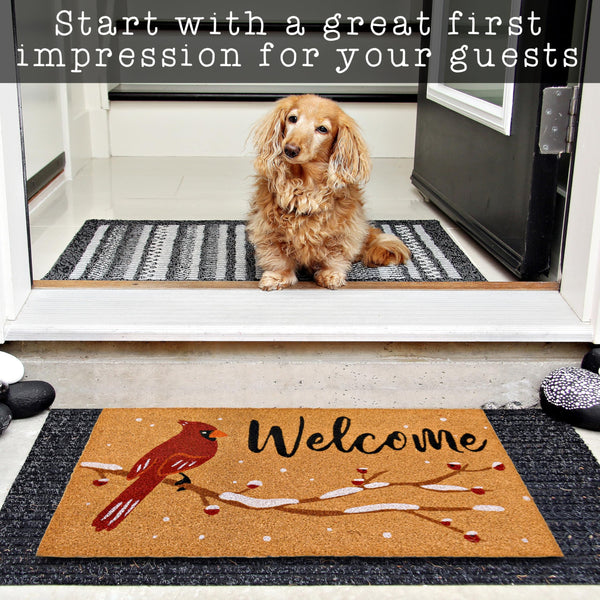 Cardinal Winter Doormat 30x17 Inch