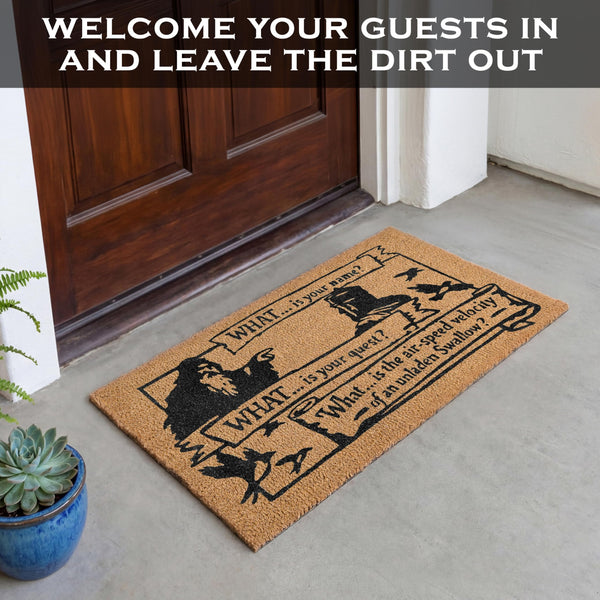 What Is Your Quest Door Mat 30x17 Inch