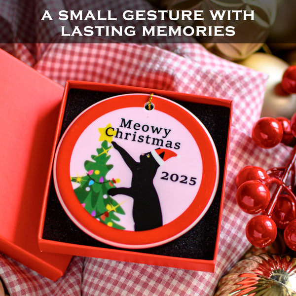 Christmas ornament with 'Meowy Christmas 2025' text in a red box on a checkered fabric background.