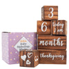 Baby Monthly Milestone Blocks - 6 Blocks With Holidays, Calendar Days and Other Bonuses!  (Walnut)