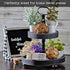 products/tiertrays_black_text3_farmhouse-tiered-tray-with-beads-home-decor-wooden-2-tier-tray-cupcake-stand-black.jpg