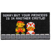 Sorry But Your Princess is in Another Castle Gamer Door Mat 30x17 Inch