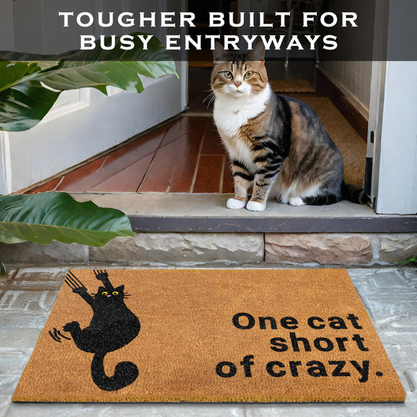 One Cat Short of Crazy Coir Door Mat 30x17 Inch