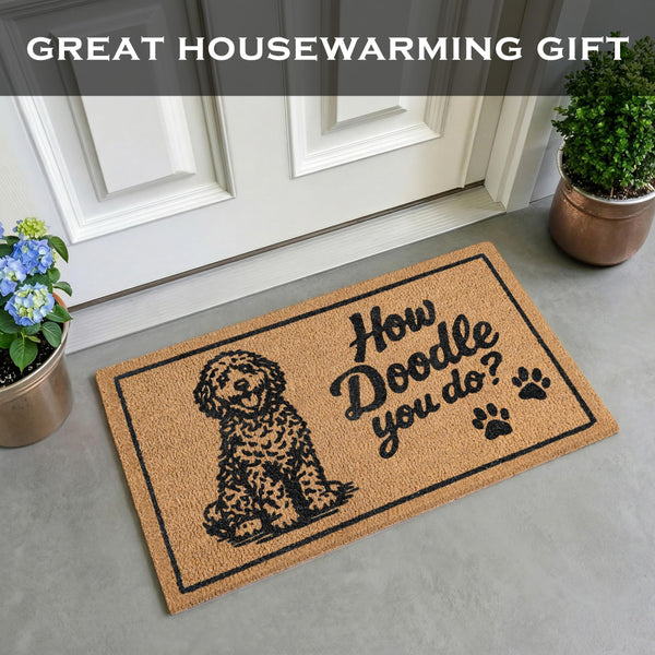 How Doodle You Do Doormat 30x17 Inch