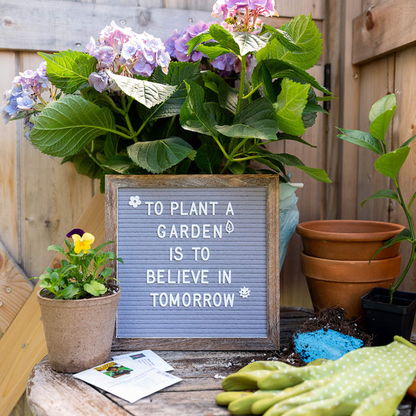 Grey 10x10 Barnwood Frame Farmhouse Rustic Letter Board