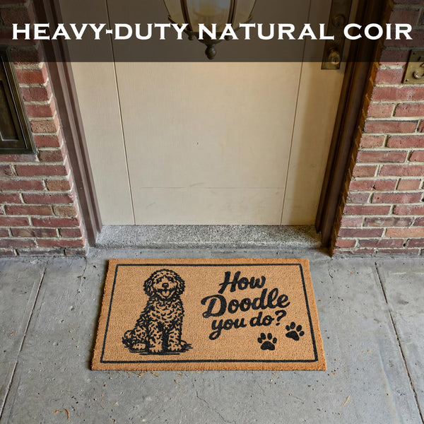 How Doodle You Do Doormat 30x17 Inch