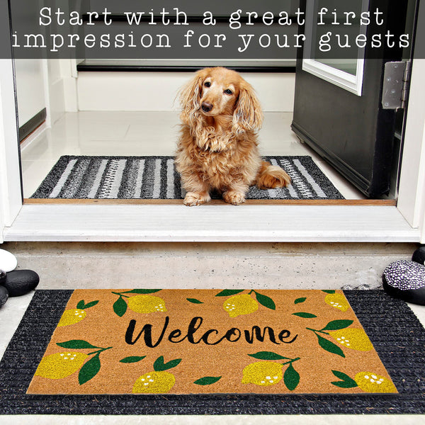 MAINEVENT Lemon Summer Coir Outdoor Mat 