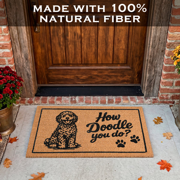 How Doodle You Do Doormat 30x17 Inch