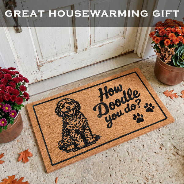 How Doodle You Do Doormat 30x17 Inch