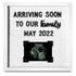 products/10x10white_hero13_10x10-inch-all-white-felt-letter-board-precut-changeable-letter-board-baby-announcement-board-message-board.jpg