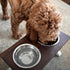 products/dogbowl_LS07.jpg