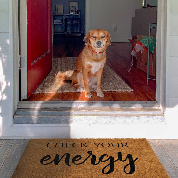 check your energy doormat outdoor entrance 30x17 inch