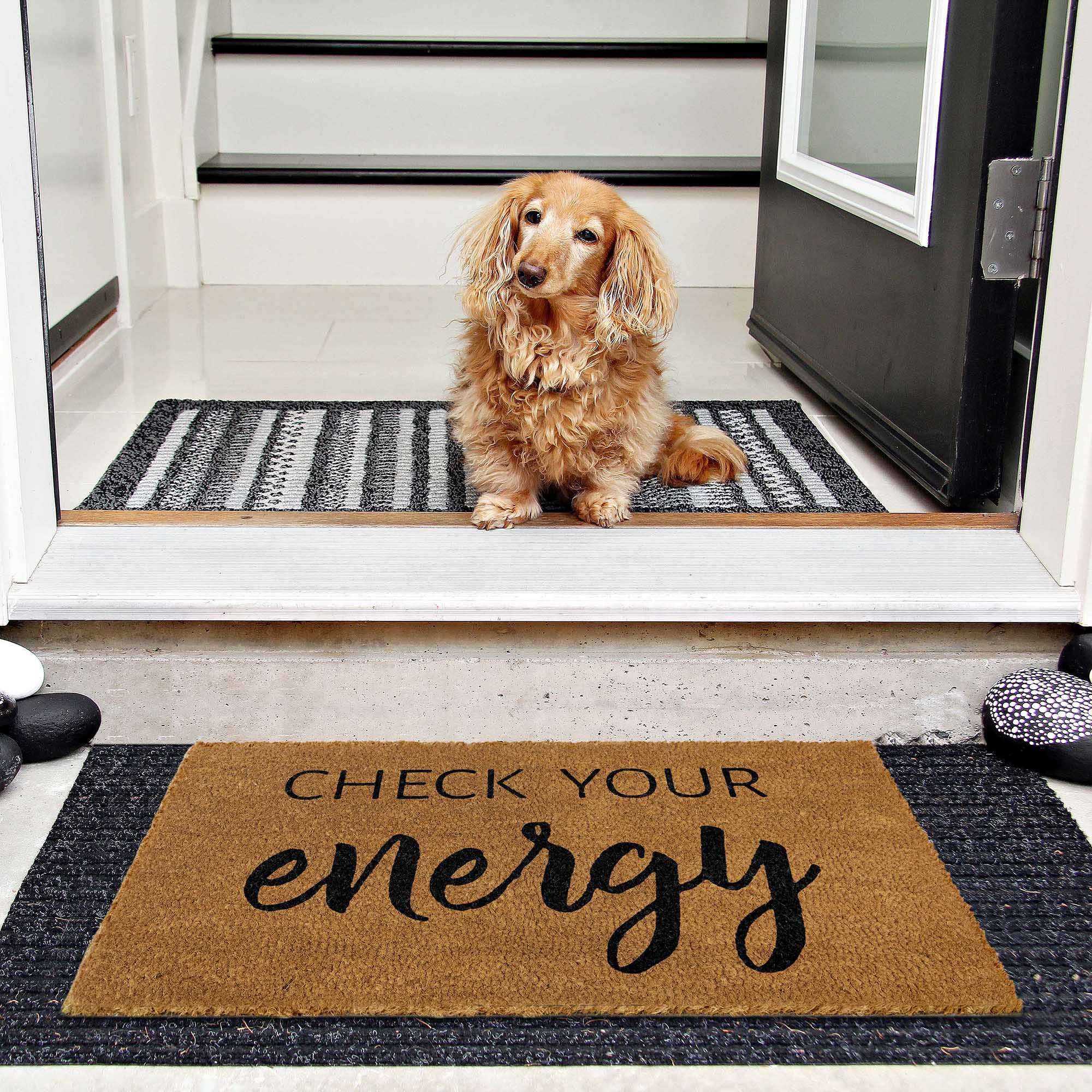 https://maineventusa.shop/cdn/shop/products/mats_checkyourenergy_LS_05_check-your-energy-doormat-outdoor-entrance-30x17-inch-funny-doormat-outdoor-doormat.jpg?v=1678780481