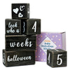 Baby Monthly Milestone Blocks Baby Age Blocks