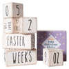 Baby Monthly Milestone Blocks - 6 Blocks With Holidays, Calendar Days and Other Bonuses!  (White)
