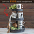 products/tiertray_black3tier_LS05_withtext_3-tiered-tray-farmhouse-decor-with-bead-garland-black-tiered-tray-stand-decor-wood-tiered-tray-decorative.jpg