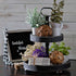 products/tiertray_black_LF4_farmhouse-tiered-tray-with-beads-home-decor-wooden-2-tier-tray-cupcake-stand-black.jpg