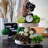 products/tiertray_white_LF2_farmhouse-tiered-tray-with-beads-home-decor-wooden-2-tier-tray-cupcake-stand-white.jpg