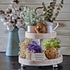 products/tiertray_white_LF4_farmhouse-tiered-tray-with-beads-home-decor-wooden-2-tier-tray-cupcake-stand-white.jpg